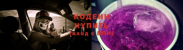 ГАЛЛЮЦИНОГЕННЫЕ ГРИБЫ Арсеньев