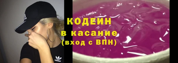 ГАЛЛЮЦИНОГЕННЫЕ ГРИБЫ Арсеньев