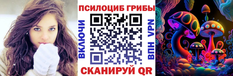 купить наркотики цена  Петровск-Забайкальский  Псилоцибиновые грибы ЛСД 